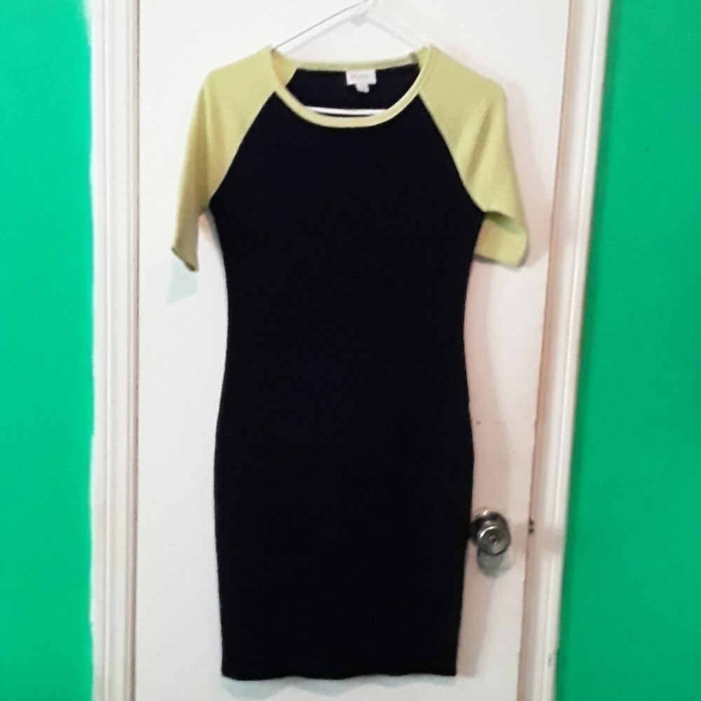Lularoe Julia Raglan dress